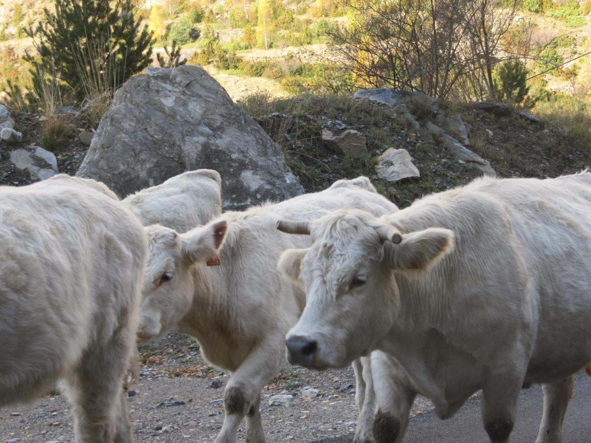 Casa Rural Borda Marianet セルレル エクステリア 写真